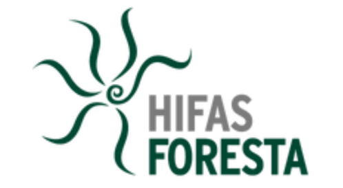 Hifas_Foresta