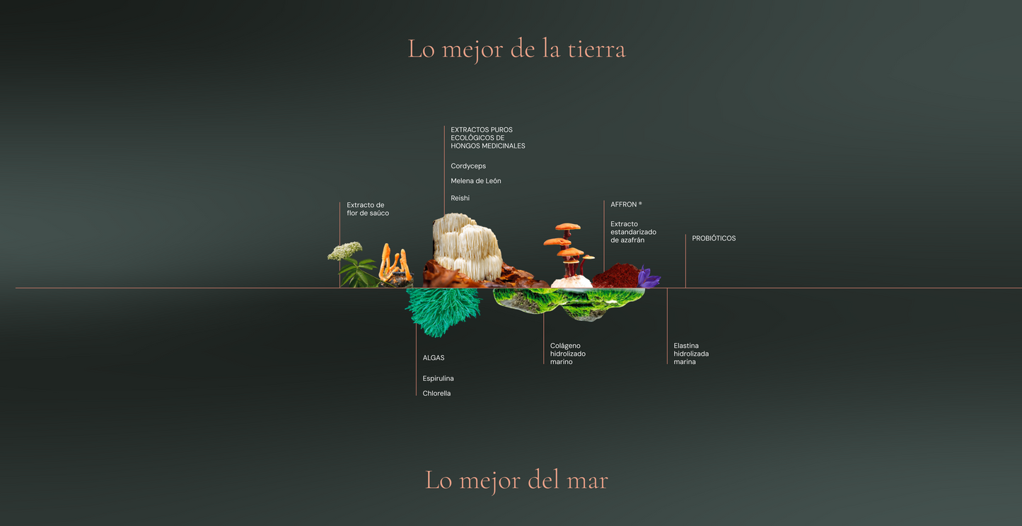 Lo mejor de la tierra