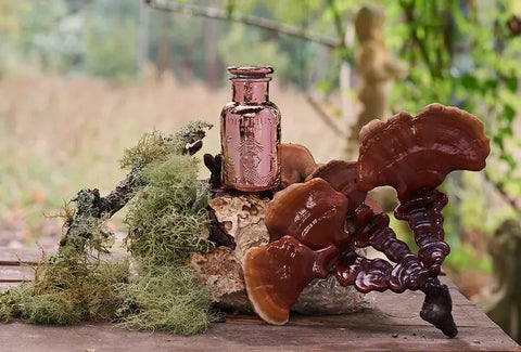 The formula that will keep your immune system stronger than ever