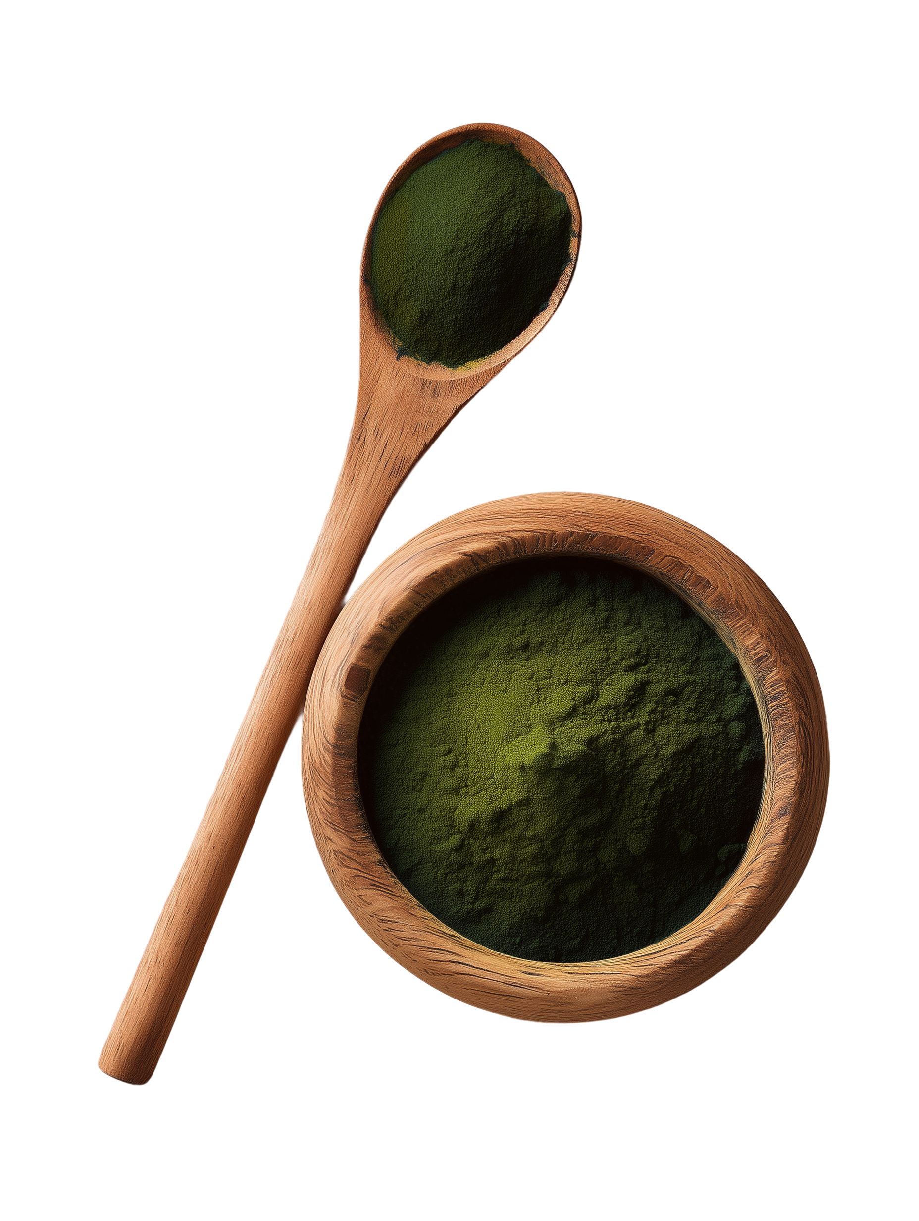 Chlorella