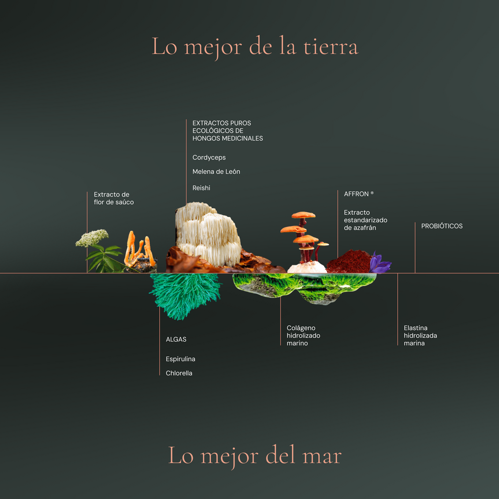 Lo mejor de la tierra