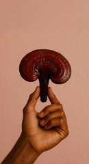 Reishi