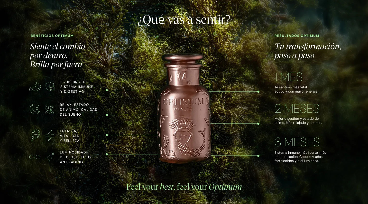 Imagen a pantalla completa