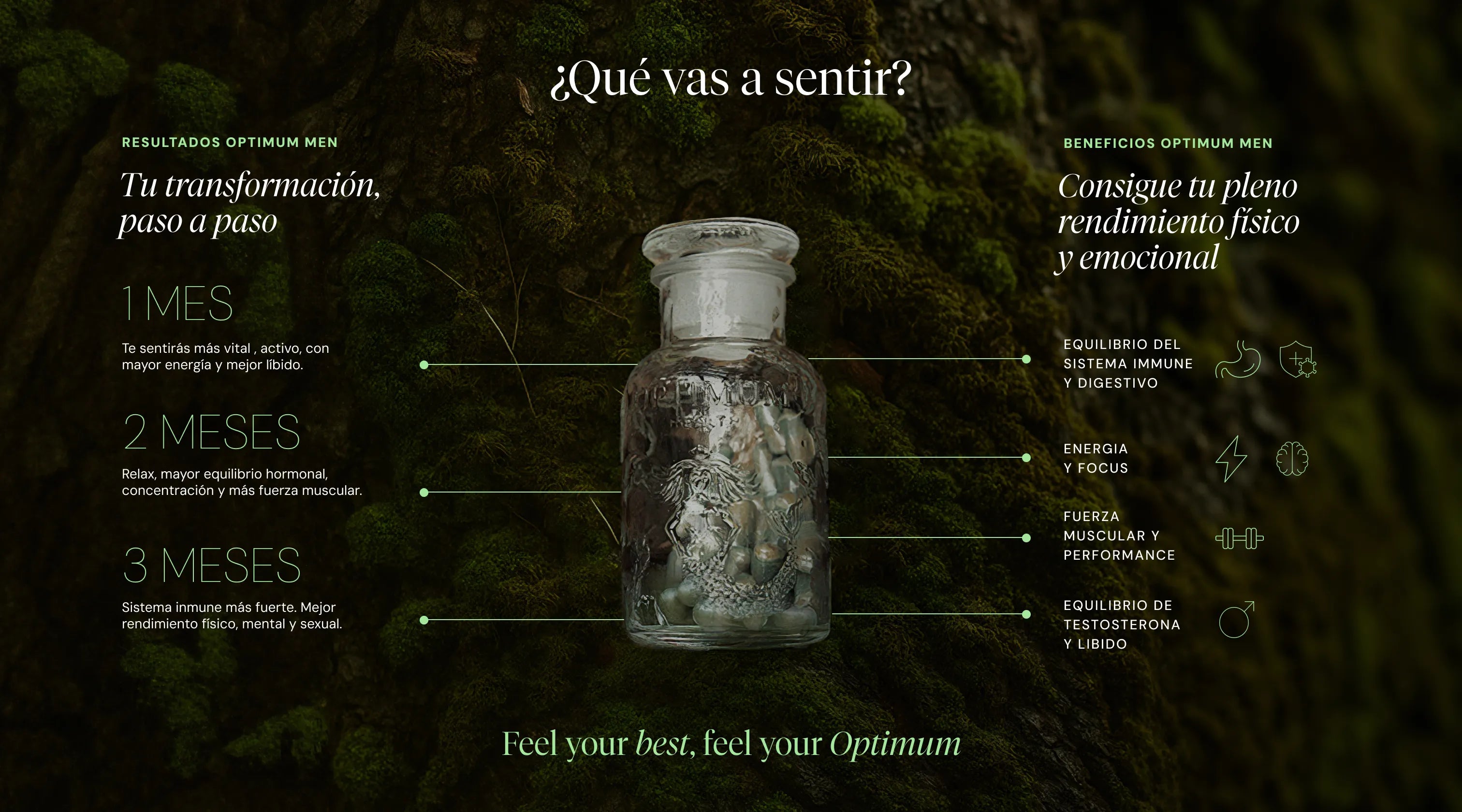 Imagen a pantalla completa