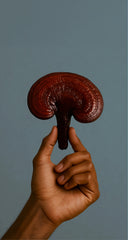 Reishi